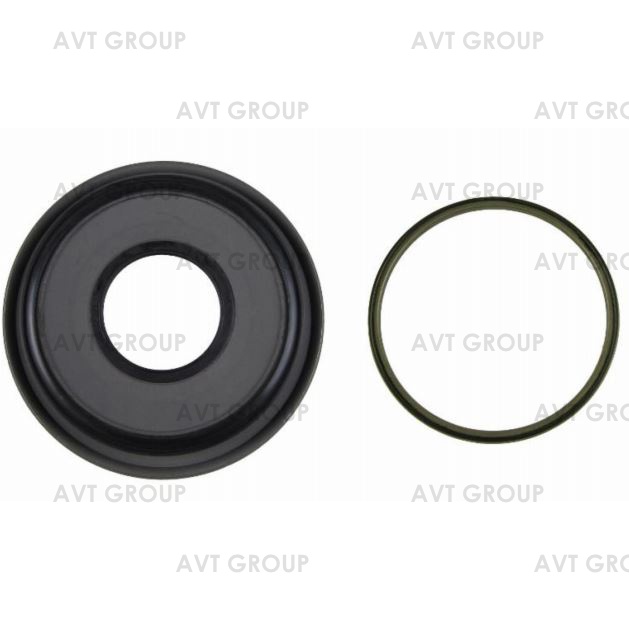 Комплект поршней 223670