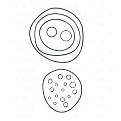 Комплект уплотнений 80153007