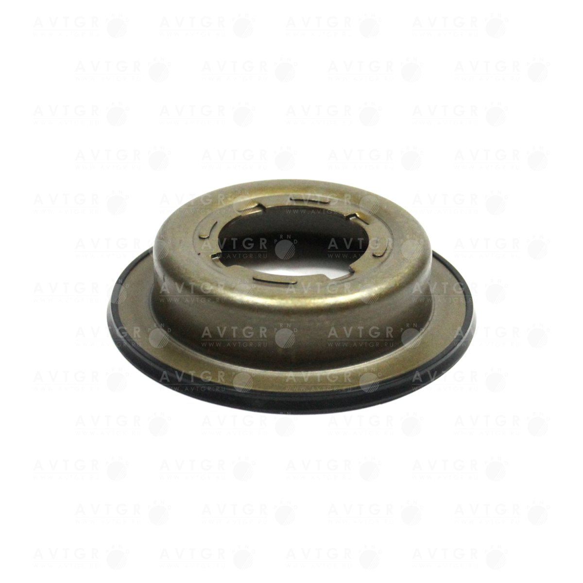 Поршень-ретейнер 80564001