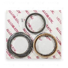 Комплект фрикционных дисков FRMAISIN20