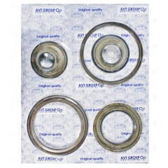 Комплект поршней 14014001