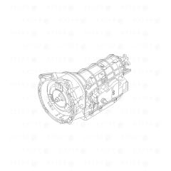 Автоматическая коробка передач (контрактная) 1060060003-02