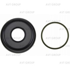 Комплект поршней 223670