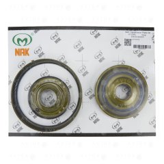 Комплект поршней 10874002