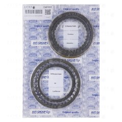 Комплект фрикционных дисков 13601002