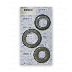 Комплект поршней 80574001