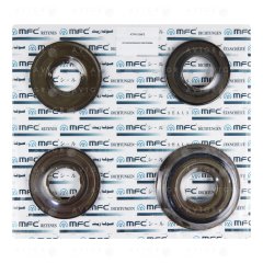 Комплект поршней 14094006